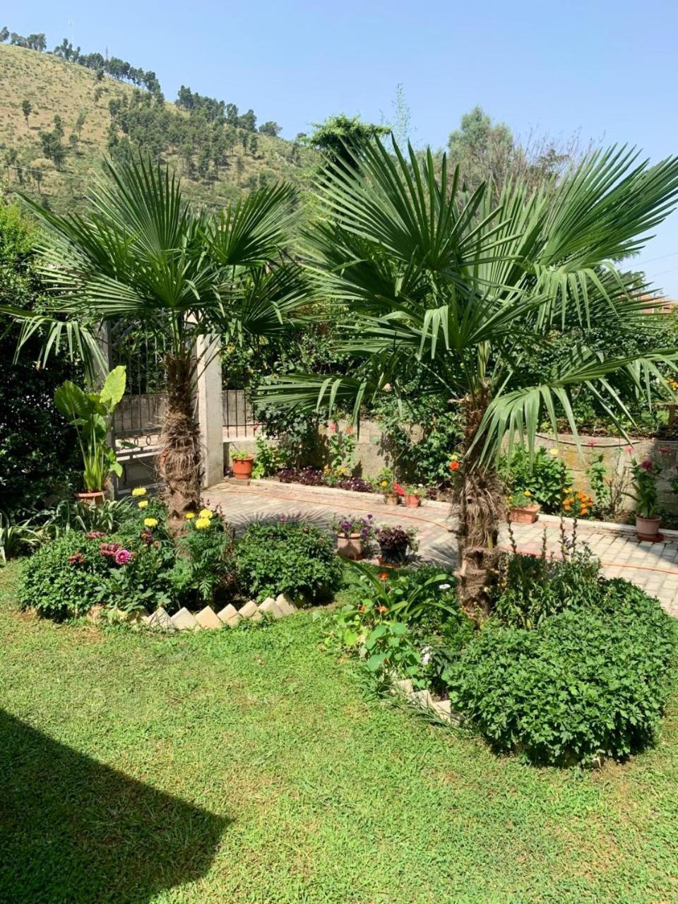 Villa With Garden And Veranda Berat Dış mekan fotoğraf